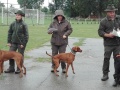IMG_20200901_151732
