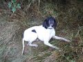 SAM_3365