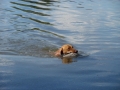 SAM_1072