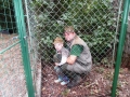 SAM_0598