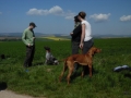 SAM_0909