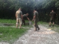 SAM_1206