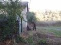 SAM_1765